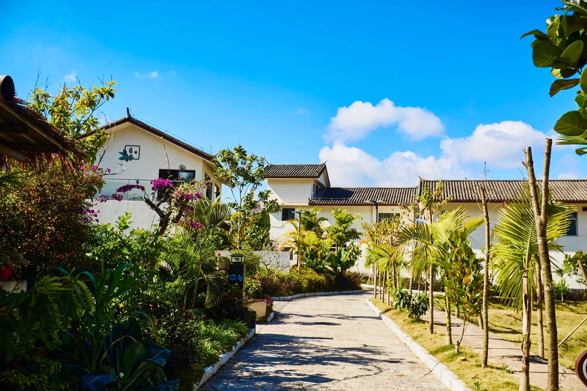 村云南本土与现代技艺交融的咖啡文化生活AG真人app普洱思茅南岛河村美丽星(图4)